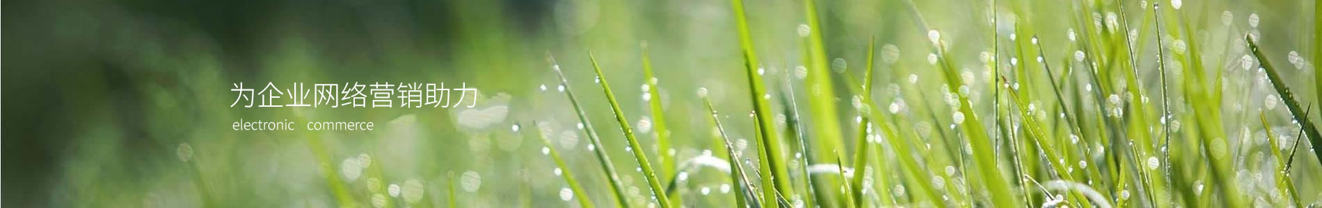 Ȫݺ޹˾